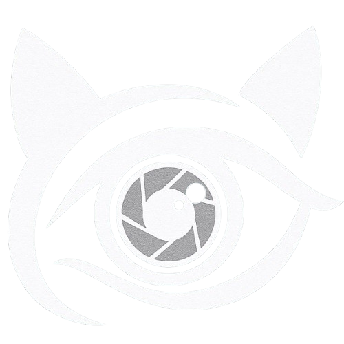 Kat's Eye Media